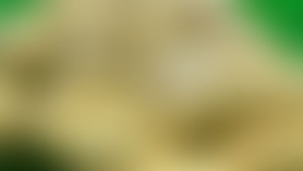 두리안 조각은 진하고 짙은 노란색이며 향이 강하고, 과일에서 막 분리한 것처럼 신선합니다.