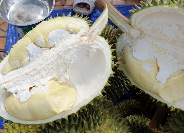 색상은 눈에 띄지 않지만, 맛은 그와 정반대입니다.