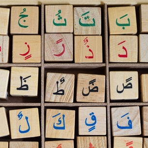 DESERT LANGUAGE SCHOOL WADI RUM JORDAN