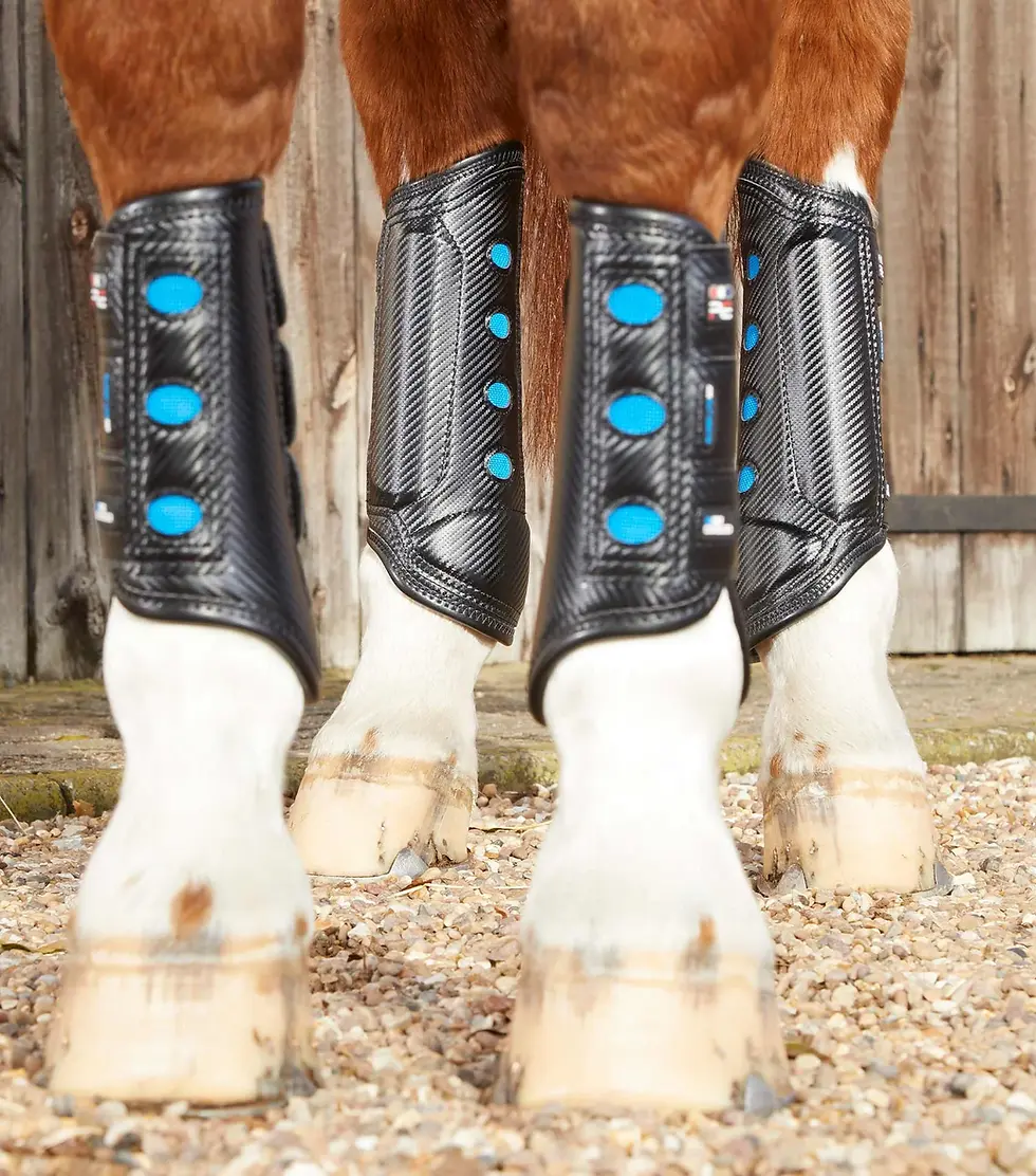 Thumbnail: PEI Air Cooled Super Lite Carbon Tech Eventing/Racing Boots
