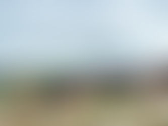 Royal Marines Emmetts Hill Memorial Garden 2025