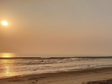 તારી હથેળીને દરિયો માનીને – તુષાર શુક્લ