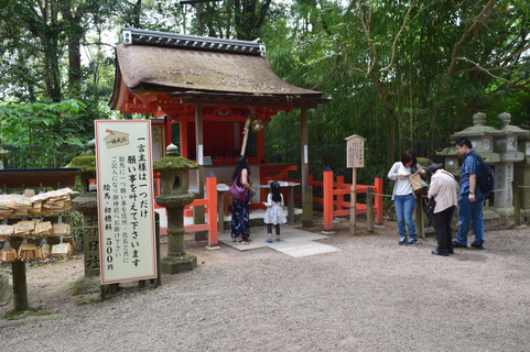 Nara park