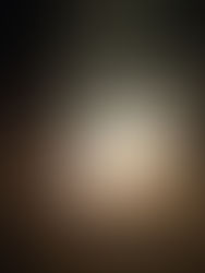 Celebration in the Camp