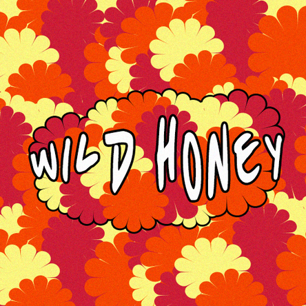 LETTER FROM THE EDITOR | Reflections & The Future Of Wild Honey