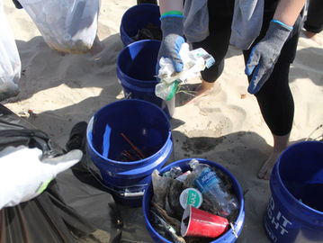 Weekly Zoom Meeting Recap: Love Blue Inc. Executive Team Meeting (10/22/2024)