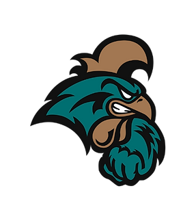 Untitled design (95).png
