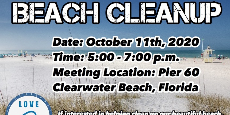 CLEARWATER FL CLEANUP