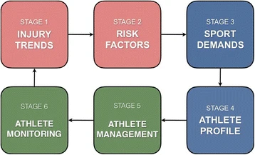 Flowchart with six stages: Injury Trends, Risk Factors, Sport Demands, Athlete Profile, Athlete Management, Athlete Monitoring. Arrows connect them.