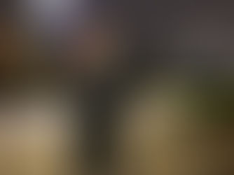 Breaking Barriers: The Rise of Women in Fitness