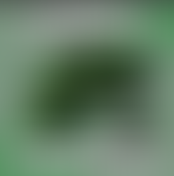 Why You Should Keep Your Legacy System and Never Implement D365