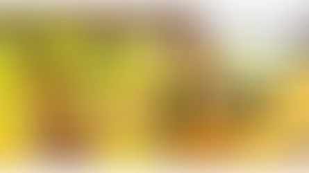 Comparing Project Operations and F&O - Resource Allocation Edition