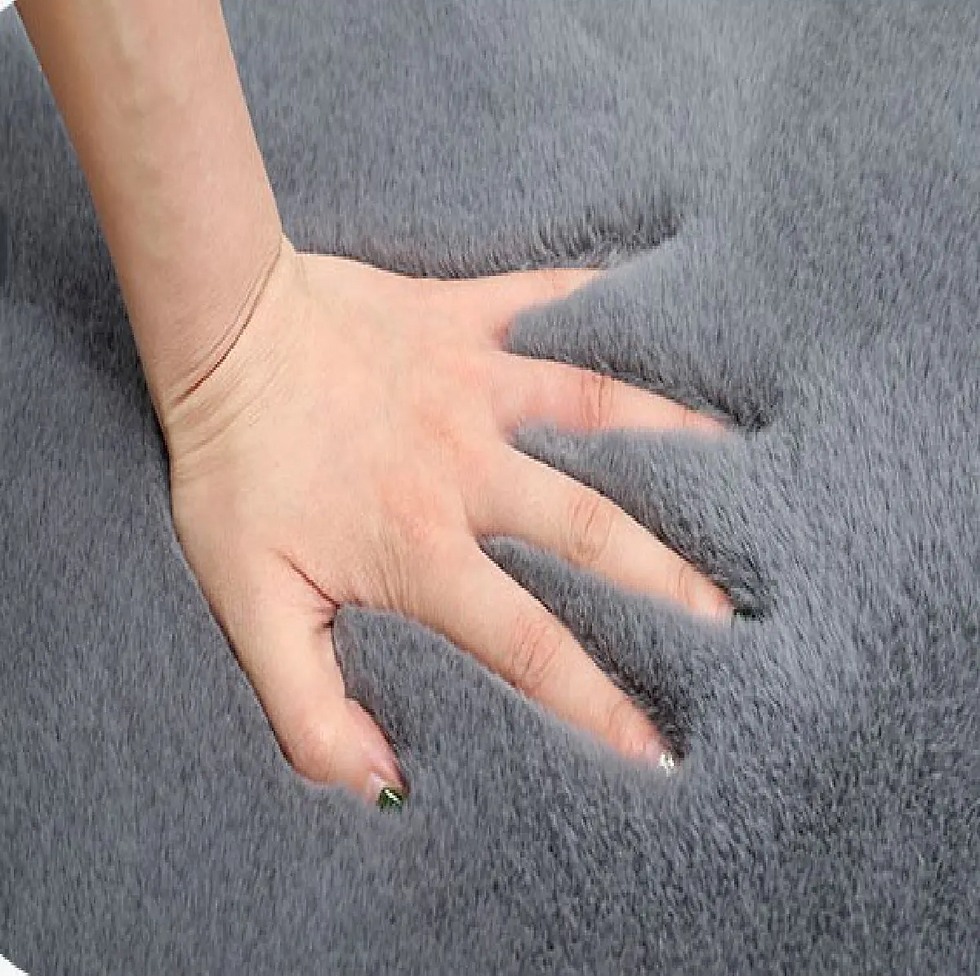 Küçük resim: Salon Halıları