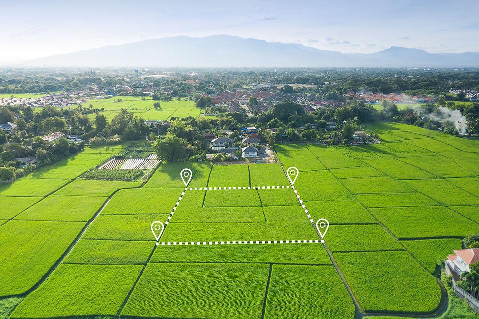 Land or landscape of green field in aerial view. Plot of land on earth for agriculture far