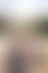 Pia & Max Hochzeit-217