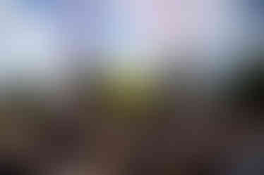 Energize Festival-15