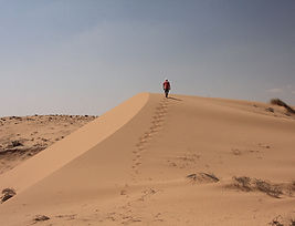 Hiker on Sand Dune_edited.jpg