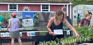 Start your garden