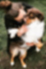 17917418_1403549333043874_626538175171022857_o.jpg