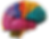 Side colourful model of the brain