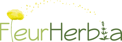 Color Logo (3).png