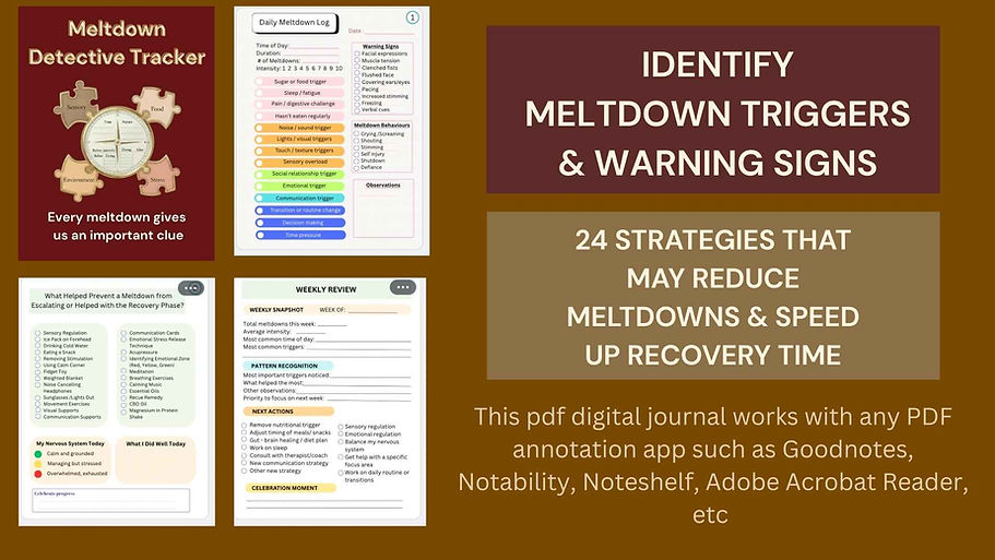 Learn to identify meltdown triggers & warning signs for your child Tracking for 24 strateg