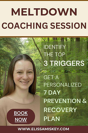 MELTDOWN COACHING SESSION.jpeg