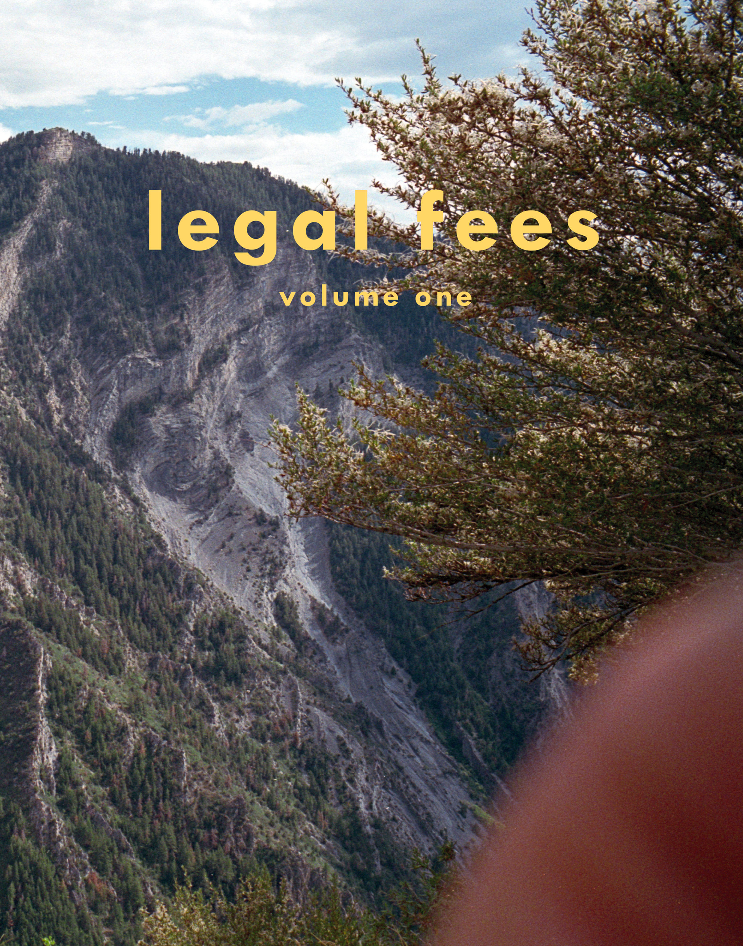 legal fees volume one (digital PDF download)