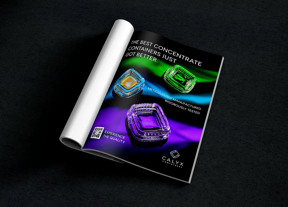 Fat-Nugs-Print-Ad-Mockup-1.png