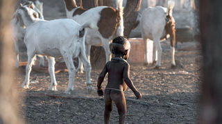 Malo dete Kengee Tjipo komaj ve, kako pravilno hoditi in govoriti, ko so ji starši pri dveh letih podali roko v roke 25-letnemu moškemu.