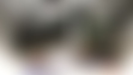 Poškodba kamere ob padcu na trdna tla!