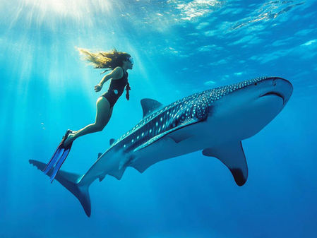 Doživetje plavanja s kitovci v Oslobu na otoku Cebu – podvodna izkušnja z največjimi ribami sveta, nasveti za obisk, fotografiranje in dodatne izlete v okolici.