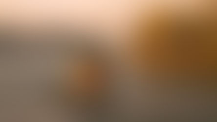 Nagrajene fotografije, ki vas kar vabijo na FotoPOTEPe