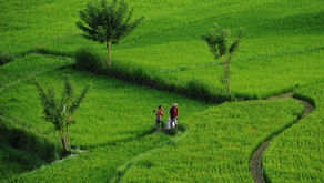 Obilje in bogastvo barv, motivov, pokrajin in obrazov, drugačna svetloba in drugačno nebo, vse to me je tako prevzelo, da sem slikal hitro in nagonsko, brez veliko misli in načrtovanja.