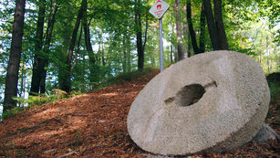 Izlet v okolici Ljubljane. Ljubljana Podgrad - Stari grad Osterberg.