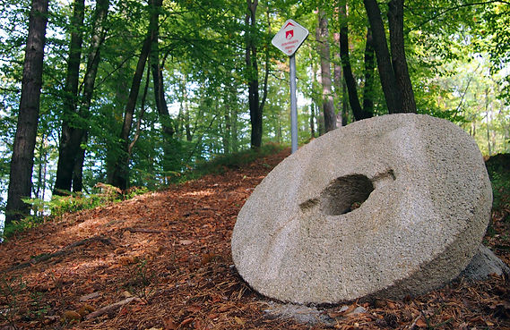 Izlet v okolici Ljubljane. Podgrad, Stari grad, mlinski kamni.