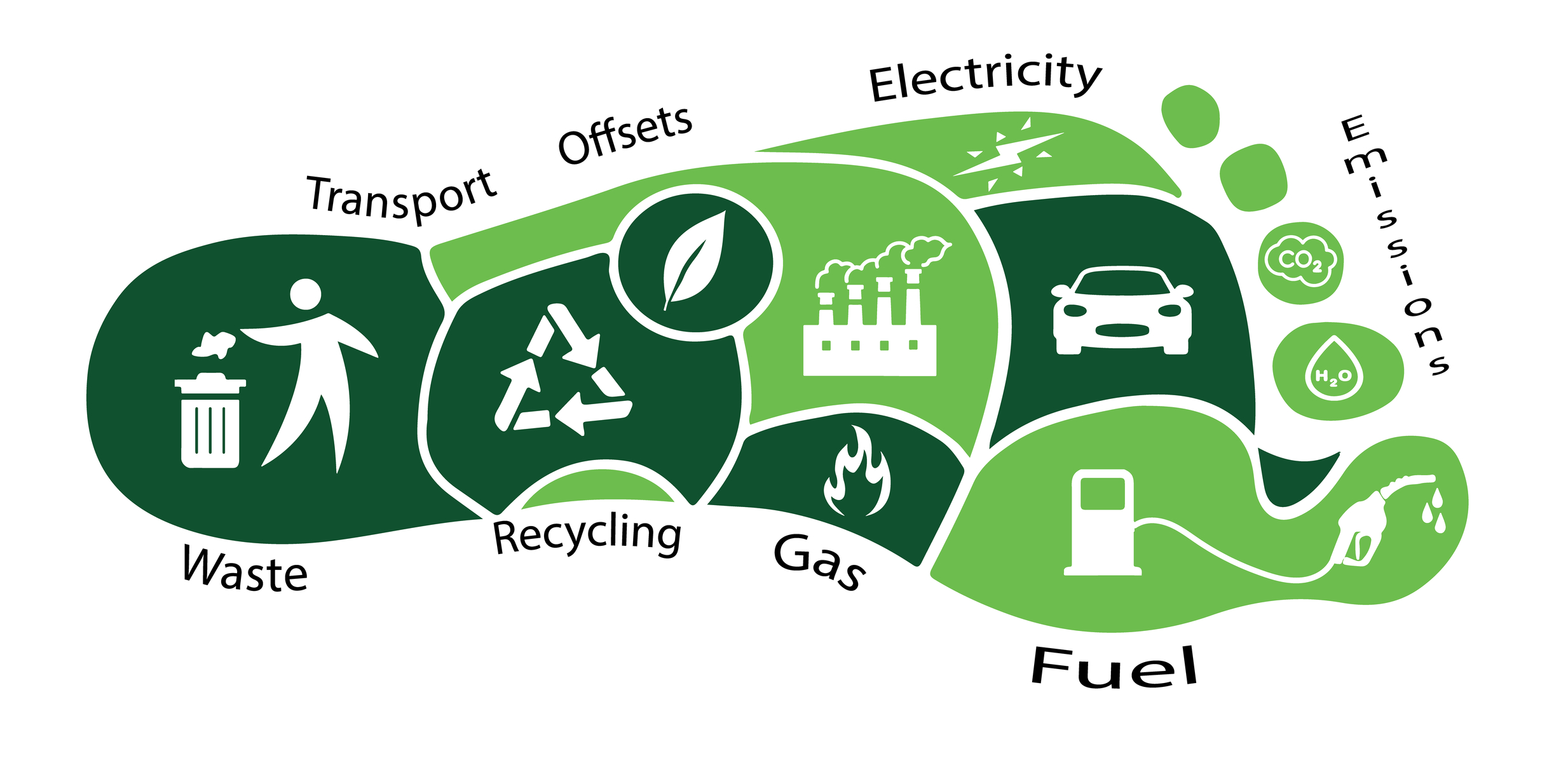 Calculating Your Carbon Footprint Worksheets