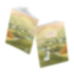 Thumbnail: Elizabeth Bennet Journal