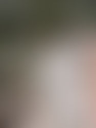 The Ghosts of Google Earth: A Vocabulary-Boosting Short Story