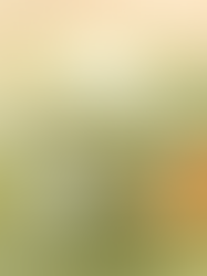 Whimsical journal cover of a young woman before an English village