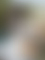 The Time Traveling Teacher: A Vocabulary-Boosting Short Story