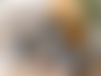 A Few Cozy Amazon Must-Haves for the Ultimate Morning Routine