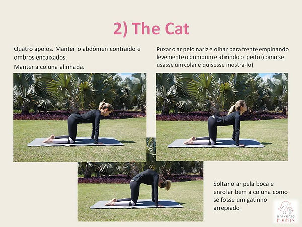 Exercícios para grávidas