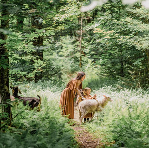 How The Wild Farm Came To Be