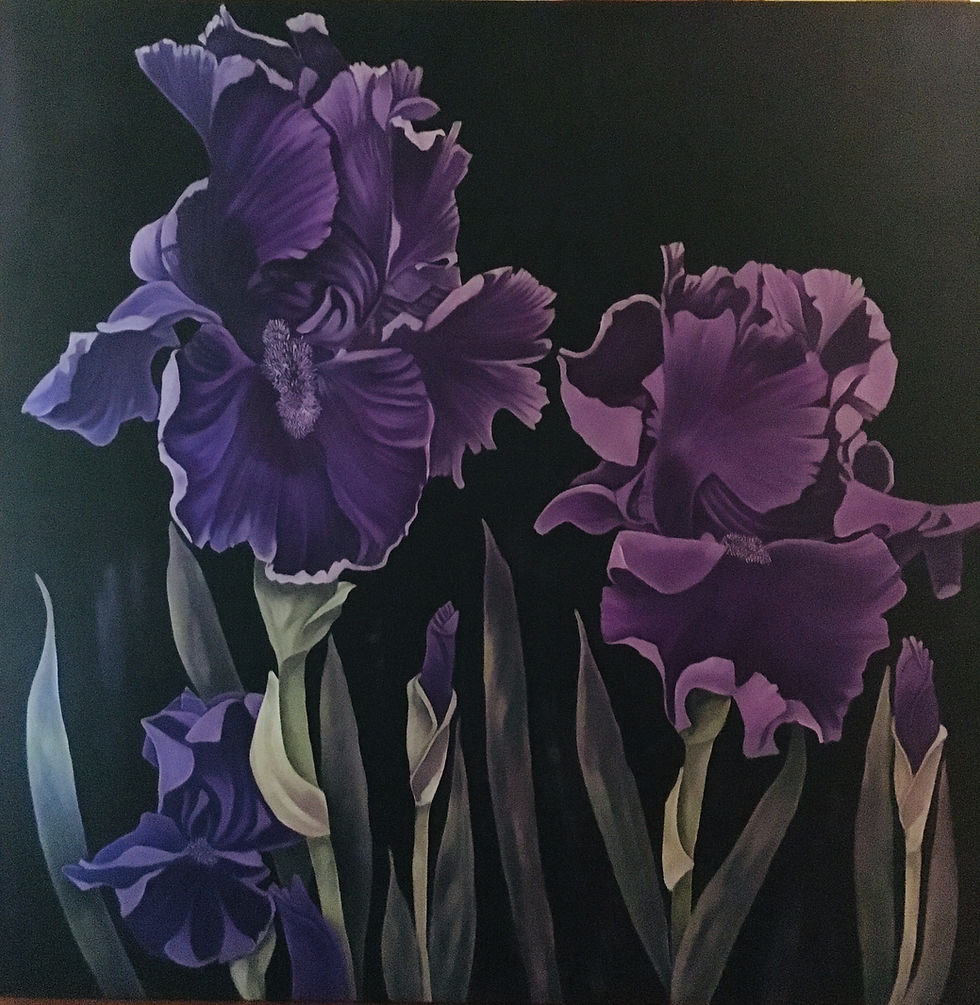 Black Iris
