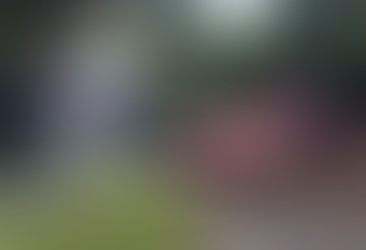 Palmeira cai sobre carro; ônibus sai da pista no Piauí