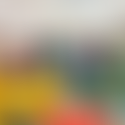 Prefeita Maninha Fontenele inaugura creche de tempo integral em Luís Correia