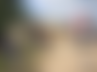 Homem fica gravemente ferido após ser atingido com golpes de facão no bairro São Vicente de Paula em