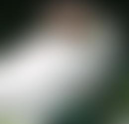 a criança teria pulado pela janela do carro.