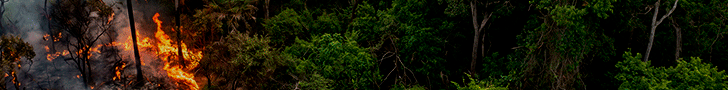 BANNER-QUEIMADAS--728-x90.gif